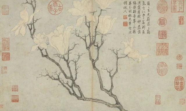 Apuntes del natural: Magnolia, Shen Zhou
