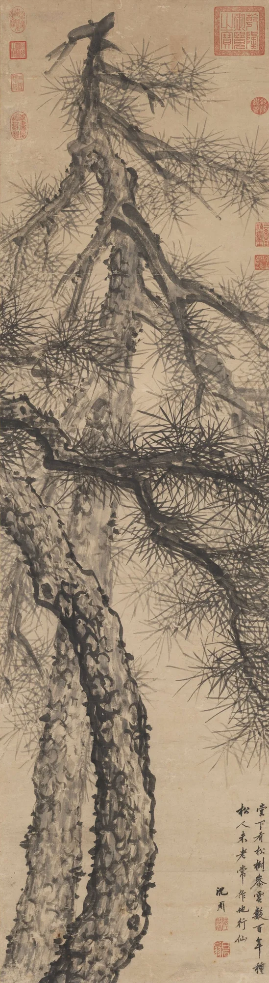 Dos pinos, Shen Zhou