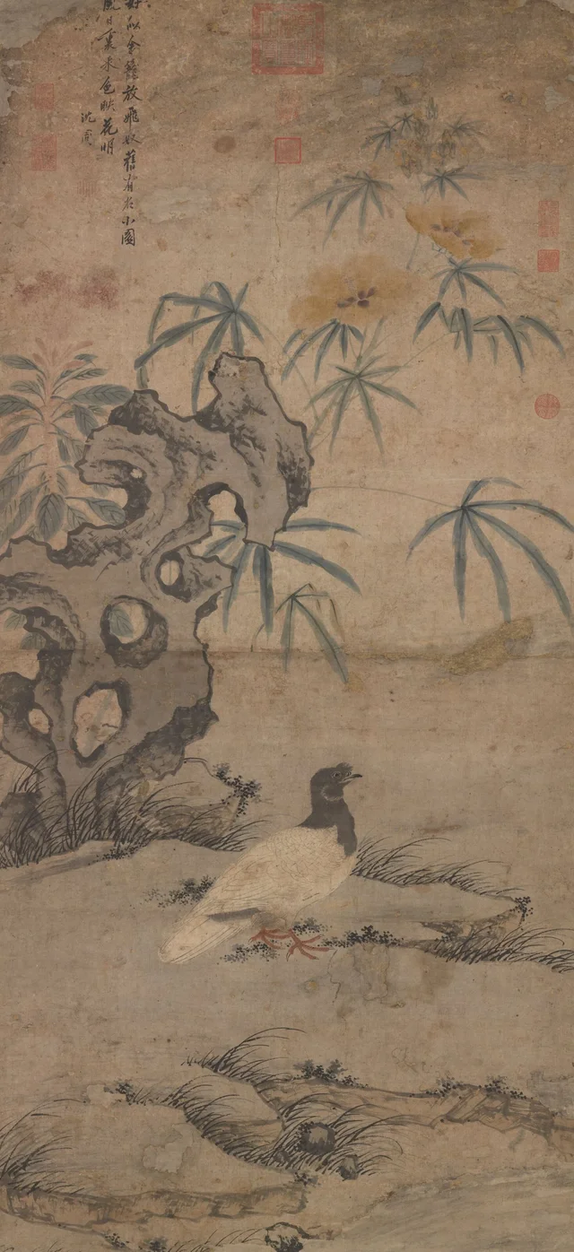 Suelta de palomas, Shen Zhou