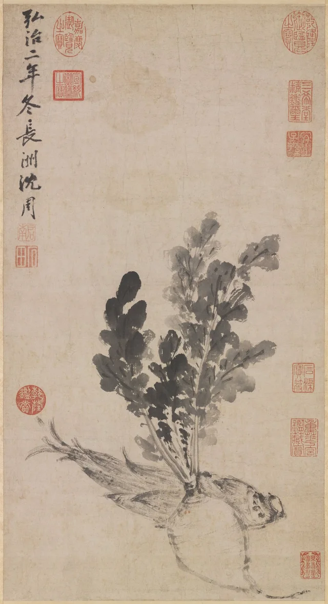 蔬筍写生, 沈周
