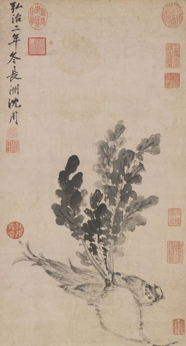 Verduras y brotes de bambú, del natural, Shen Zhou