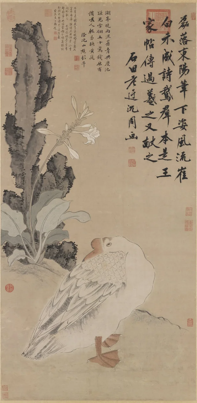 花下睡鵝