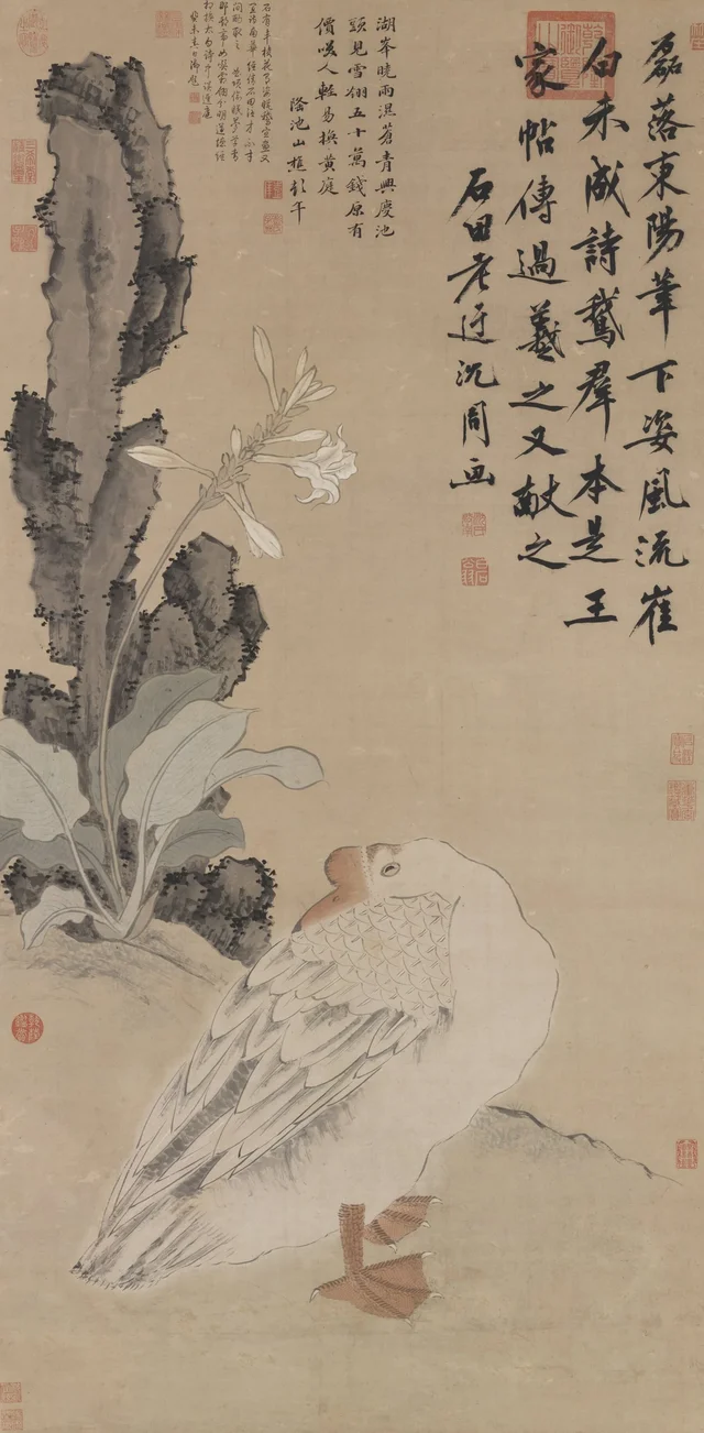 Ganso dormido bajo las flores, Shen Zhou