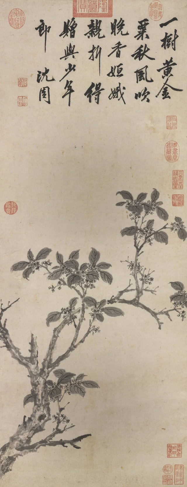 Perfume tardío de las flores de osmanto, Shen Zhou