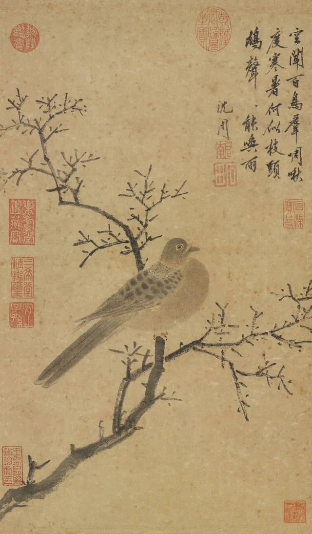 Tórtola llamando a la lluvia, Shen Zhou