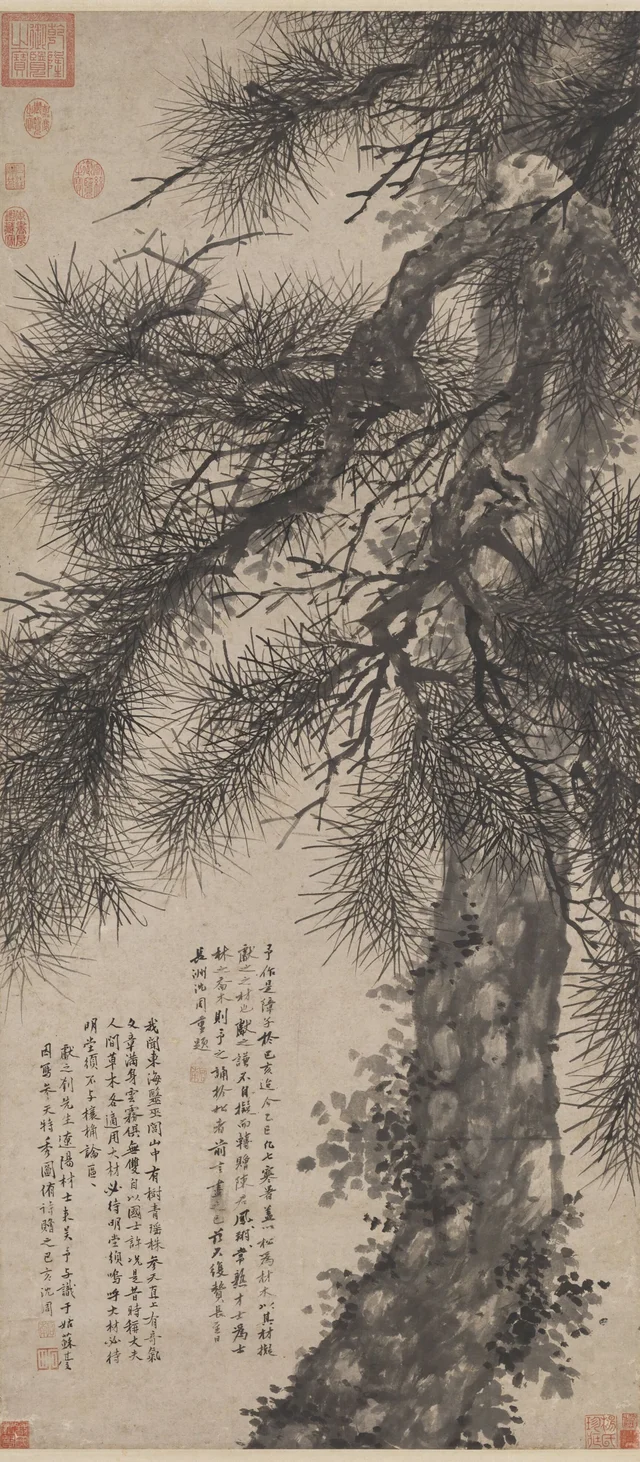 参天特秀, 沈周