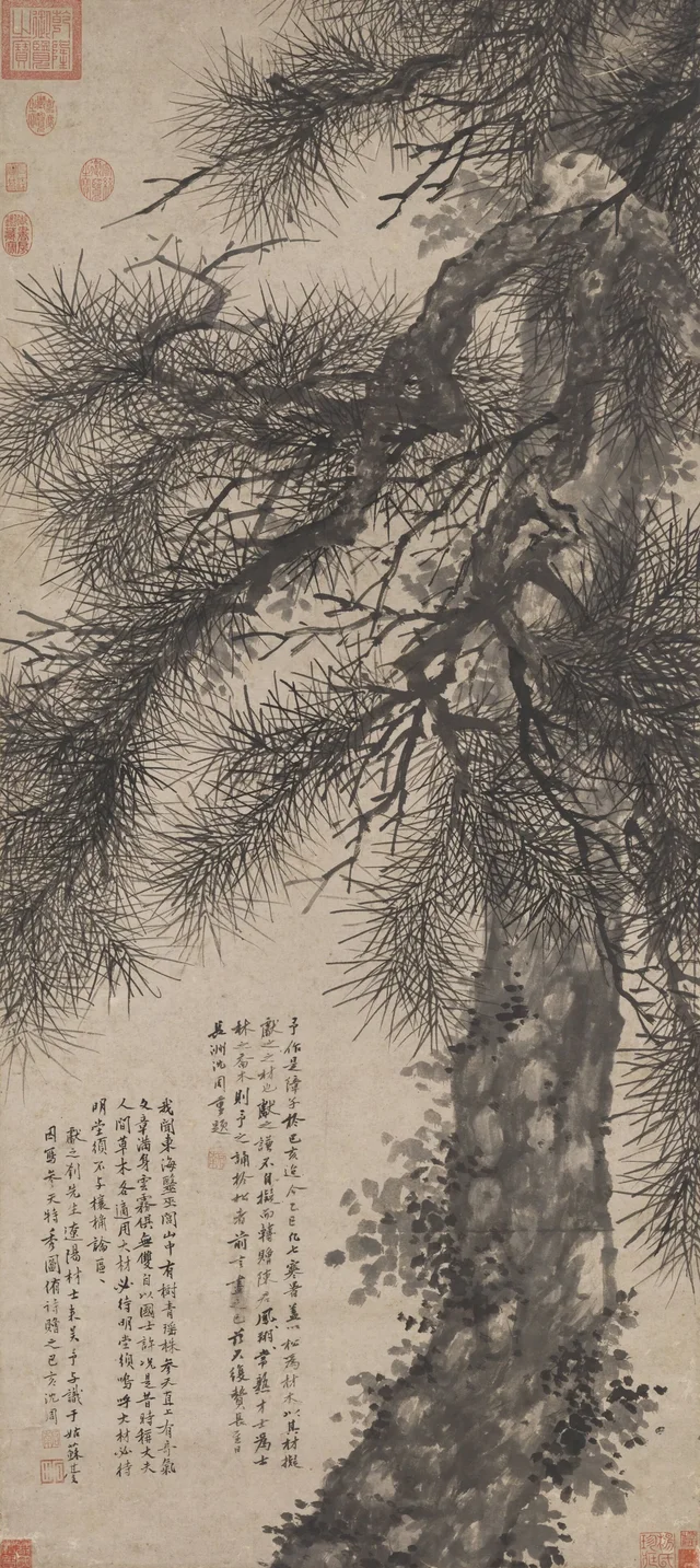 Virtud que alcanza el cielo, Shen Zhou