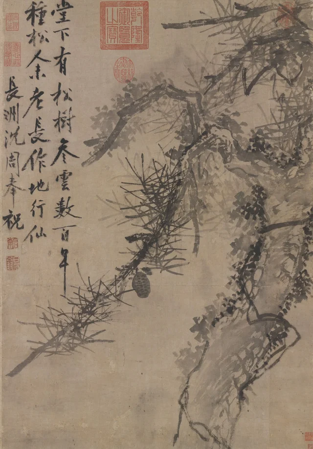 Pino viejo, Shen Zhou