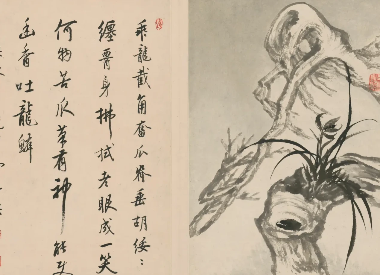 原济兰竹册－古木兰草, Shitao