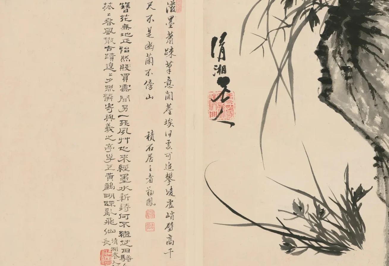 原济兰竹册－兰石, Shitao