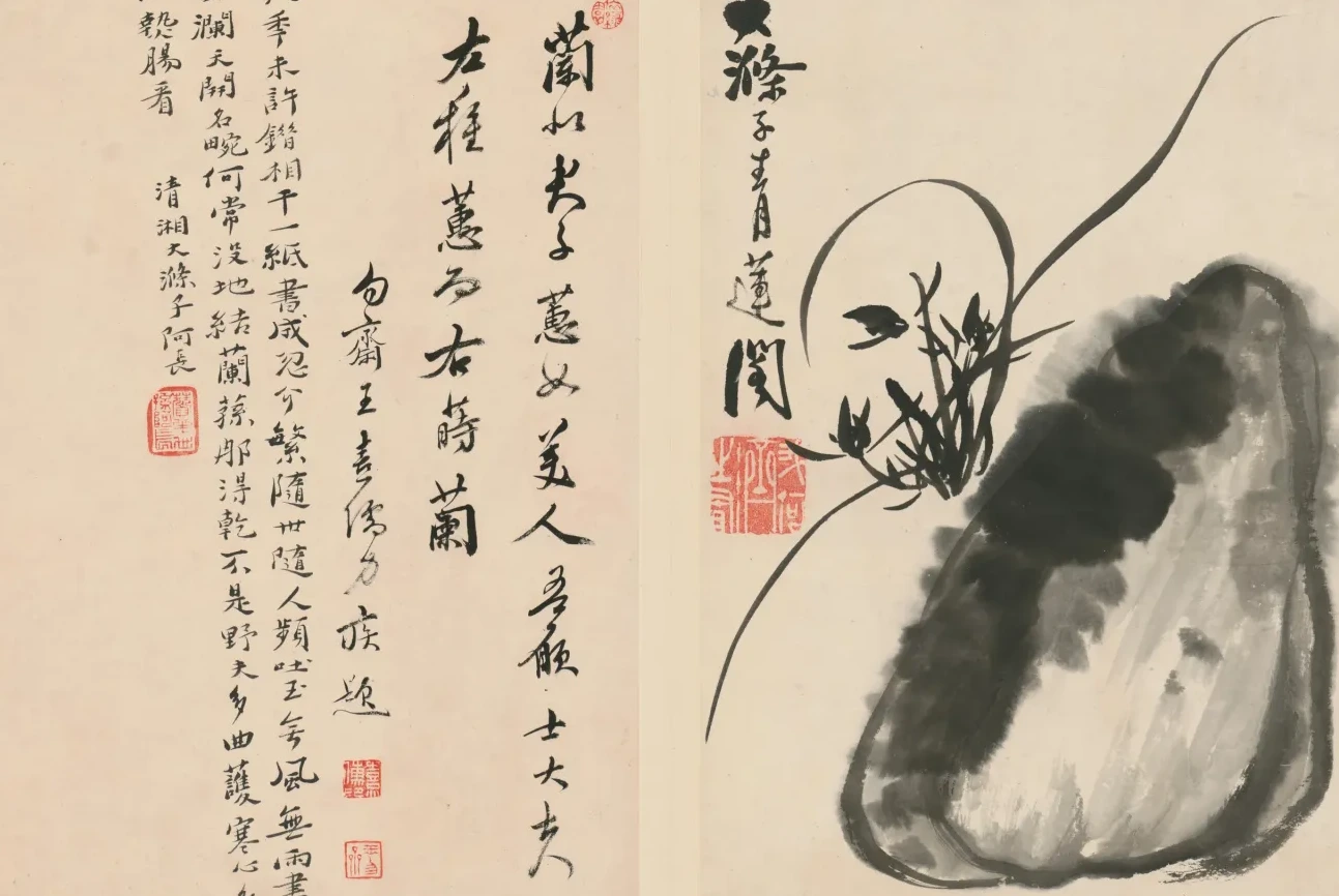 原济兰竹册－兰石, Shitao