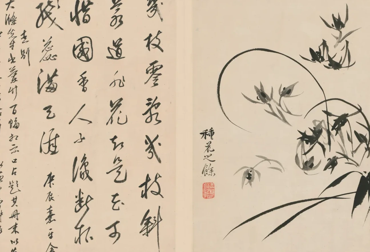 原济兰竹册－兰花, Shitao