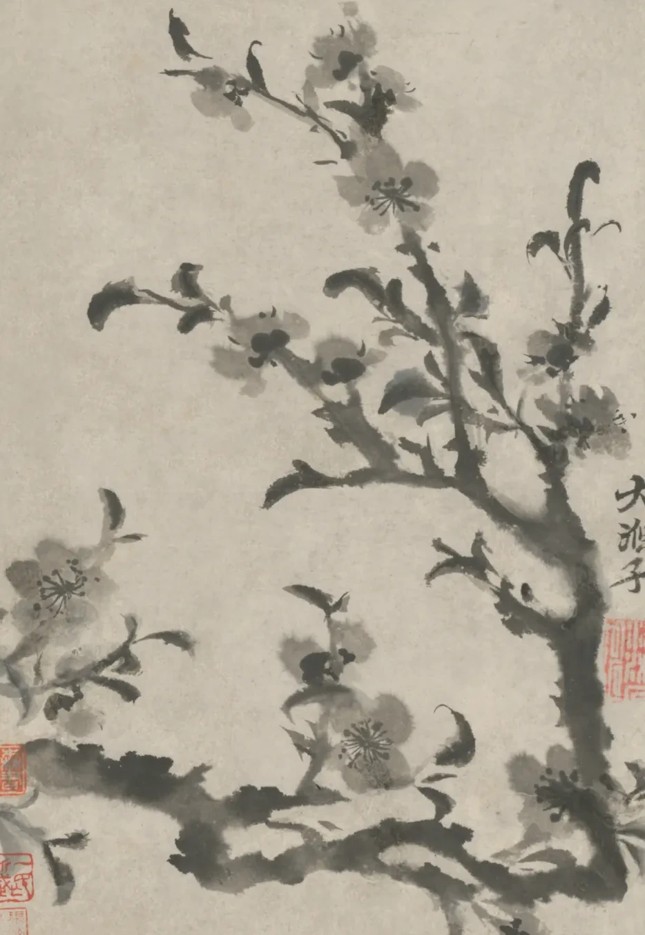原济花卉图册, Shitao