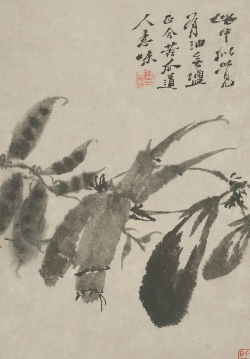 原济花卉图册, Shitao