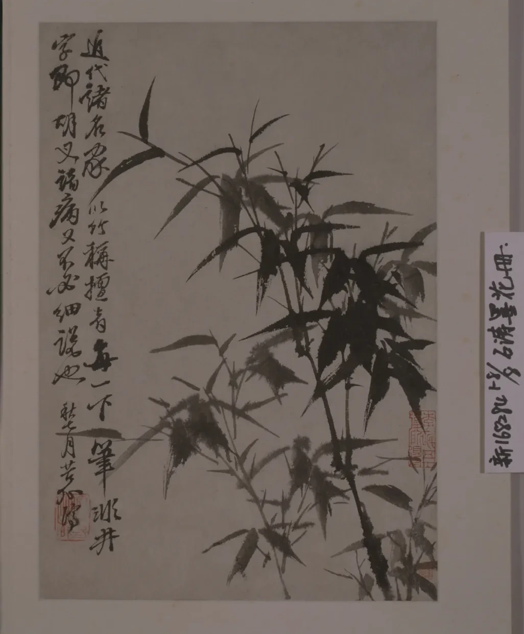 原济花卉图册, Shitao