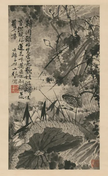 石涛墨荷图轴