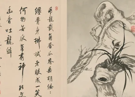 原济兰竹册－古木兰草