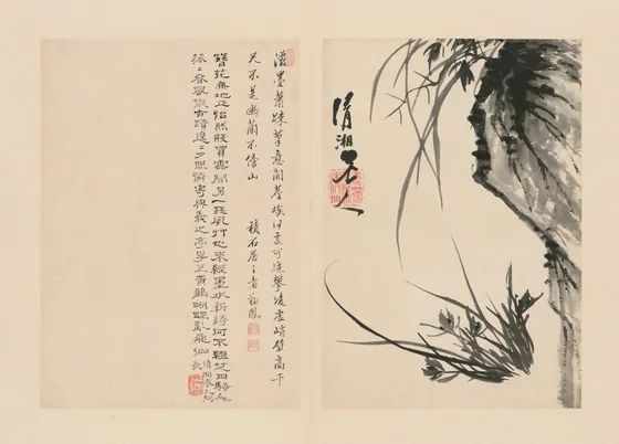 原济兰竹册－兰石