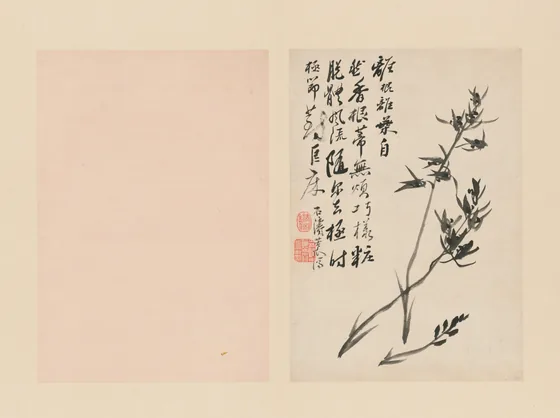 原济兰竹册－兰花