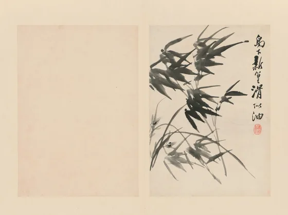 原济兰竹册－竹兰