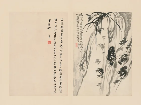 原济兰竹册－泉石兰芝