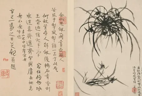 原济兰竹册－兰草