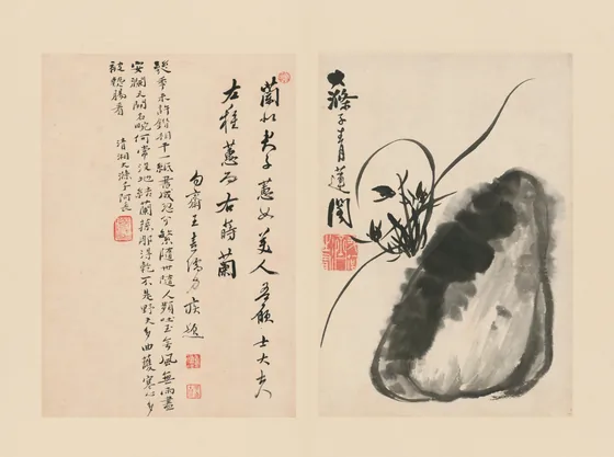 原济兰竹册－兰石