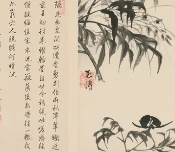 原济兰竹册－芍药兰花