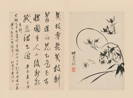 原济兰竹册－兰花