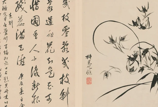 原济兰竹册－兰花