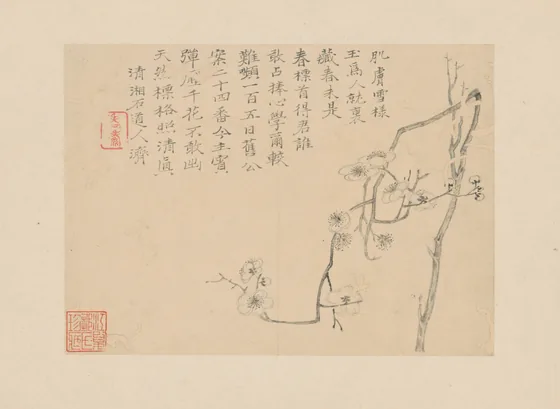 原济梅花册单页