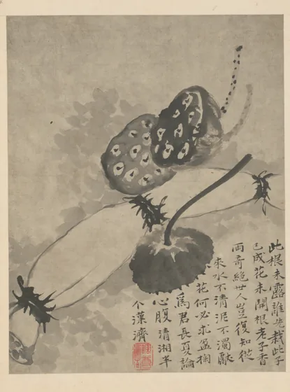 原济杂画图册