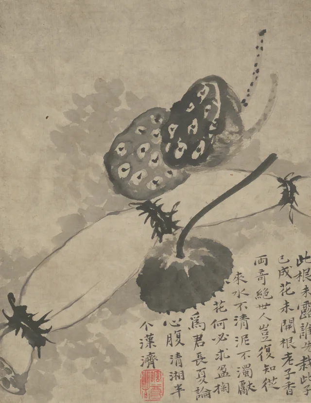 Álbum de pinturas diversas, de Yuanji, Shitao