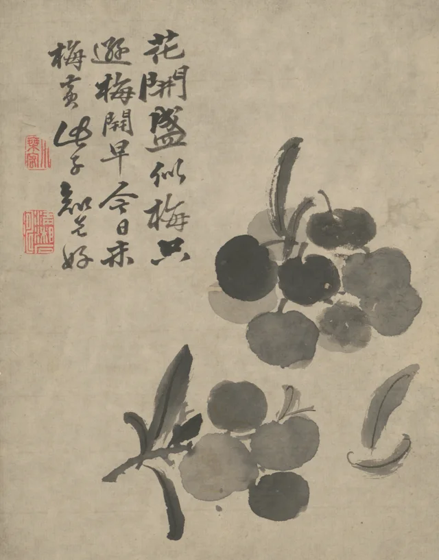 原济杂画图册, Shitao