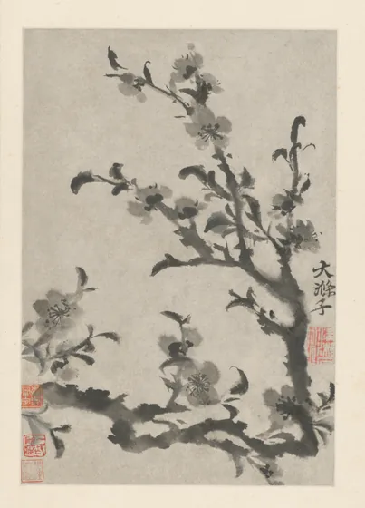 原济花卉图册