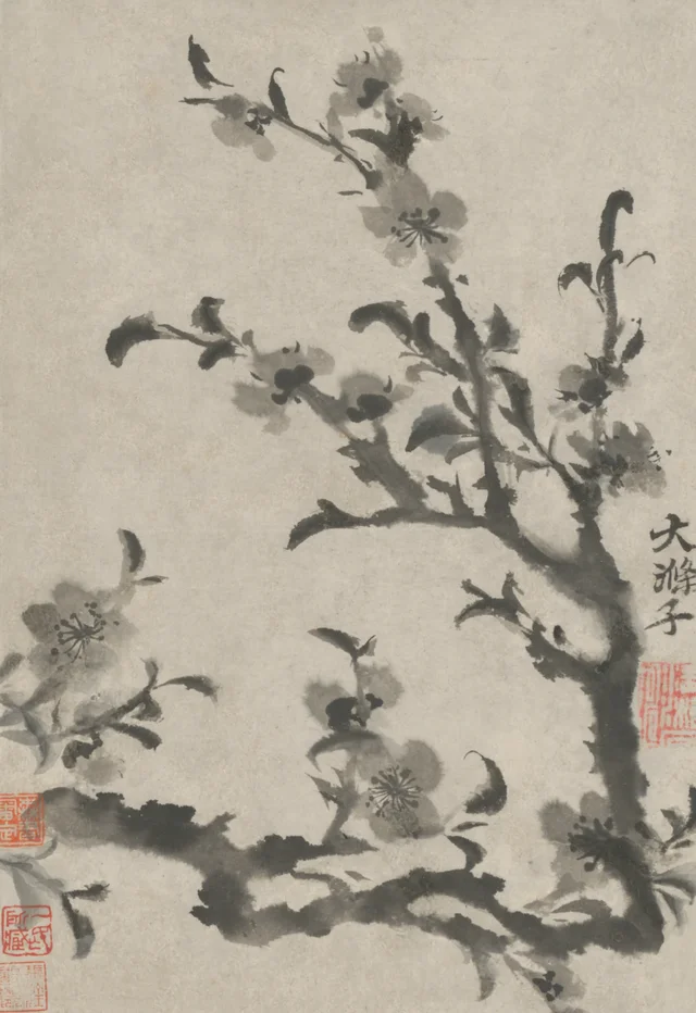 原济花卉图册, Shitao