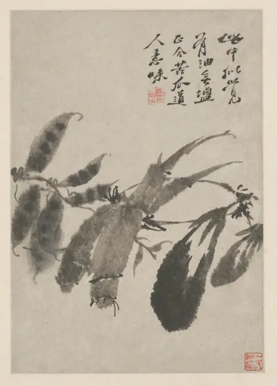 原济花卉图册