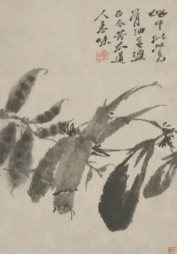 原济花卉图册