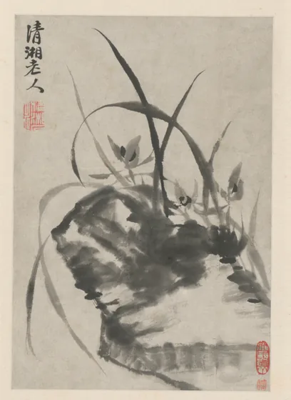原济花卉图册