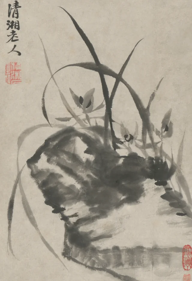 Álbum de flores, de Yuanji