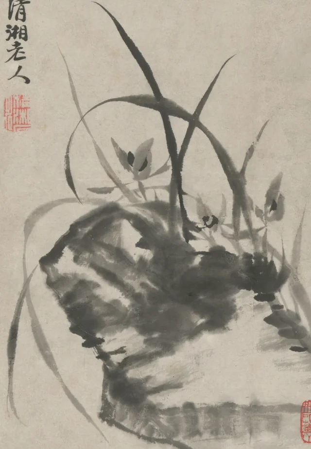 原济花卉图册