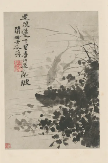 原济花卉图册
