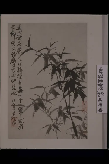 原济花卉图册