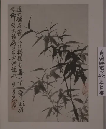 原济花卉图册