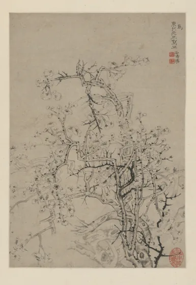原济墨梅图轴