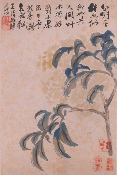 清 石涛 花卉册