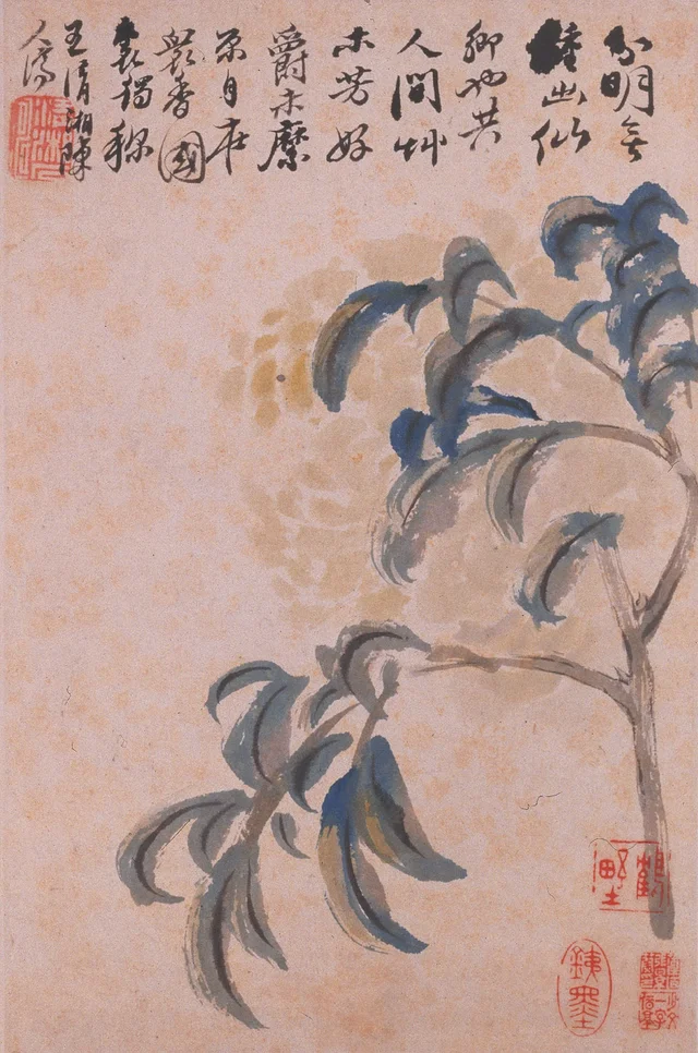 Álbum de flores, Shitao