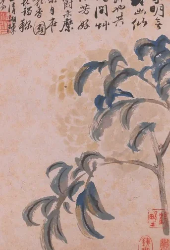 清 石涛 花卉册