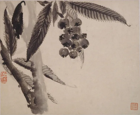 清 石涛 山水人物花卉册
