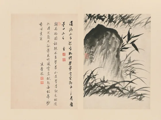 原济兰竹册－兰竹石